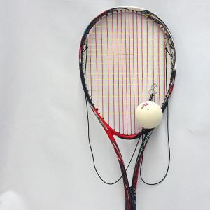 ケンコー　Ｗボレー（ボレー練習用）　ソフトテニス　練習器具