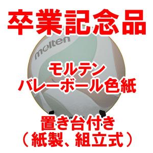 バレーボール色紙デザインの商品一覧 通販 Yahoo ショッピング