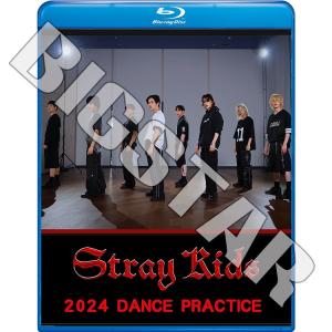 Blu-ray STRAY KIDS 2023 2nd DANCE PRACTICE - LALALALA S-Class CASE 143 MANIAC - K-POP ブルーレイ Stray Kids ストレイキッズ