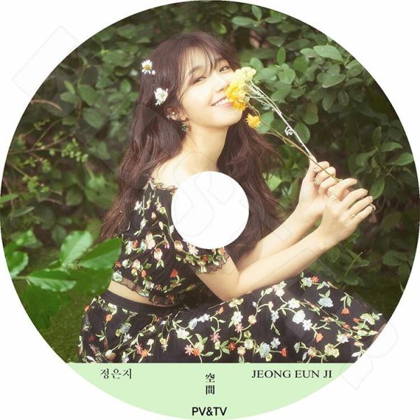 K-POP DVD APINK JEONG EUN JI 2017 PV&amp;TV セレクト The S...