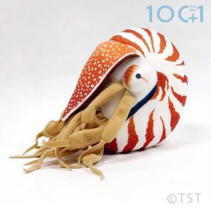 オウムガイ ゲーム おもちゃ の商品一覧 通販 Yahoo ショッピング