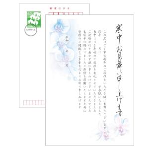 寒中見舞い 官製ハガキ 喪中はがきを出せなかった文例 記入欄 胡蝶蘭柄 10枚｜bigsun7