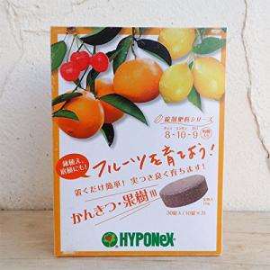 置肥：ハイポネックス：錠剤肥料 かんきつ果樹用30錠入り 2個セット[柑橘の鉢植えに最適]｜bigsun7