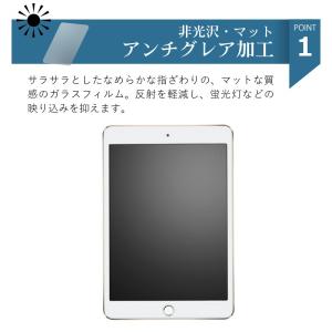 指紋防止 保護フィルム iPad Air11(...の詳細画像2