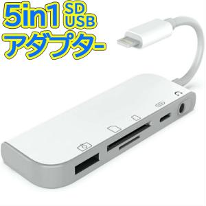 5in1 USB ハブ 変換アダプタ 充電 同時 イヤホンジャック 3.5mm SDカード iPad iPhone12 SE2 TF カードリーダー カメラ 写真 ビデオ キーボード マイク マウス｜bigupshop