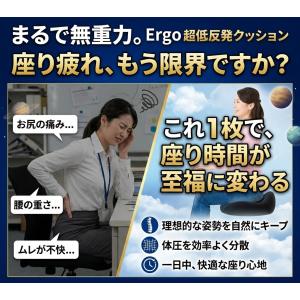 座布団 無重力 クッション エルゴ 約43×4...の詳細画像2