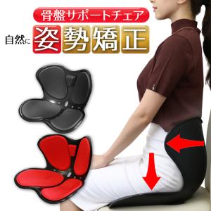 骨盤サポートチェア セシルシェイプ 座椅子 腰痛 骨盤