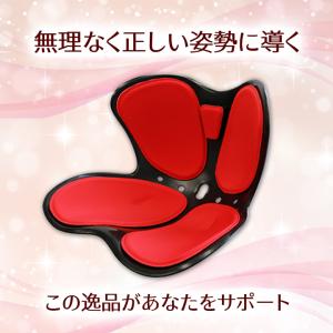 骨盤サポートチェア セシルシェイプ 座椅子 腰...の詳細画像1