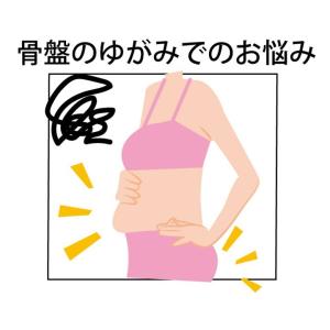骨盤サポートチェア セシルシェイプ 座椅子 腰...の詳細画像5