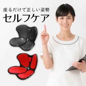 骨盤サポートチェア セシルシェイプ 座椅子 腰...の詳細画像4