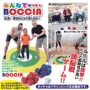 特別コラボ みんなで ボッチャ ボール セット...の詳細画像4