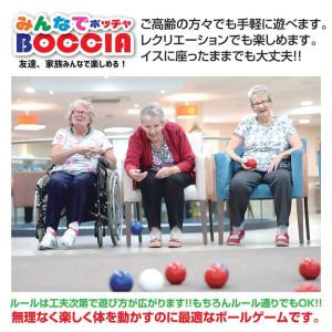 特別コラボ みんなで ボッチャ ボール セット...の詳細画像5