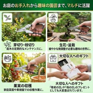 剪定 剪定鋏 剪定はさみ 太い枝 切れる よく...の詳細画像5