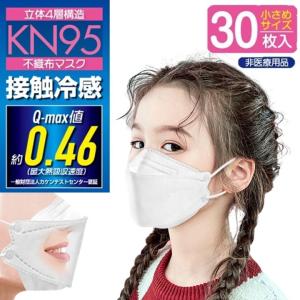 不織布マスクカバー　少し大きめ　マスクチャームセット 冷感マスク 不織布 立体 マスク KN95 小さいサイズ 30枚 × 3箱セット