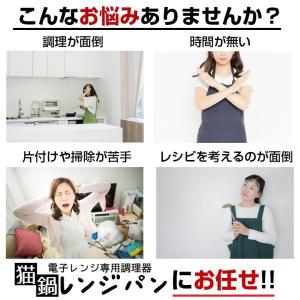 電子レンジ調理器 焼き魚 焼ける レンジパン ...の詳細画像4
