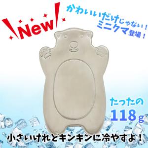 ステンレス製 アイスパック 保冷剤 長時間 長...の詳細画像2