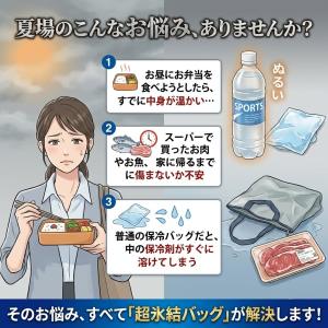 保冷バッグ 両面 アルミ 4mm厚 クーラーバ...の詳細画像1