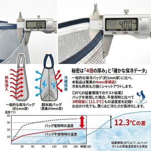保冷バッグ 両面 アルミ 4mm厚 クーラーバ...の詳細画像2