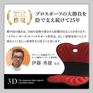 姿勢矯正 座椅子 クッション スワンル ボーテ...の詳細画像1