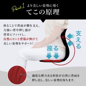 姿勢矯正 座椅子 クッション スワンル ボーテ...の詳細画像4