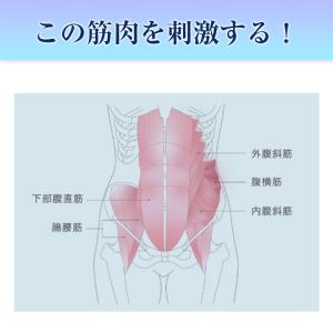 サポートチェア スワンル ラッコ ピラティス ...の詳細画像4