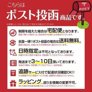 保冷ケース 保冷ポーチ コスメポーチ ひんやり...の詳細画像5