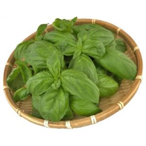 新鮮産直野菜 バジル 業務用バラ KG売