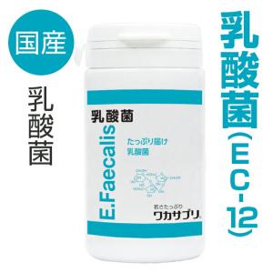 ワカサプリ 乳酸菌(９０粒入り)乳酸菌1兆個 アカメガシワ抽出エキス：100mg / フラクトオリゴ糖：100mg 高密度圧縮製法｜bihada-clinic