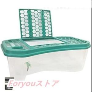 カメ用水槽 大きい カメ 水槽 亀の水槽 60CM 74CM 亀 飼育ケース ボックス タートルタンク 日向ぼっこ台 ミドリガメ クサガメ スッポン 観察 排水孔 階段 エサ皿