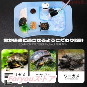 カメ用水槽 大きい カメ 水槽 亀の水槽 60...の詳細画像1