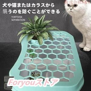 カメ用水槽 大きい カメ 水槽 亀の水槽 60...の詳細画像3