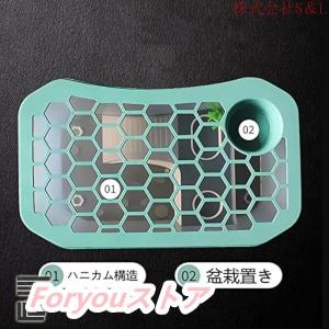 カメ用水槽 大きい カメ 水槽 亀の水槽 60...の詳細画像4