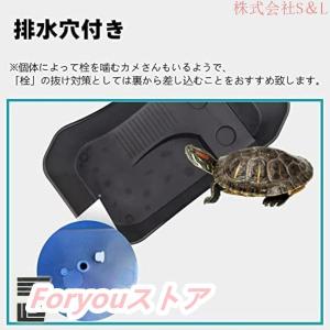 カメ用水槽 大きい カメ 水槽 亀の水槽 60...の詳細画像5