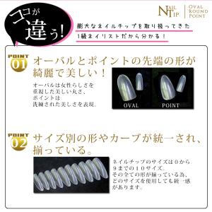 ネイルチップ クリア(オーバルロング0〜9)1...の詳細画像2