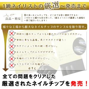 ネイルチップ クリア(オーバルロング0〜9)1...の詳細画像3