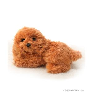 トイプードルぬいぐるみの商品一覧 通販 Yahoo ショッピング