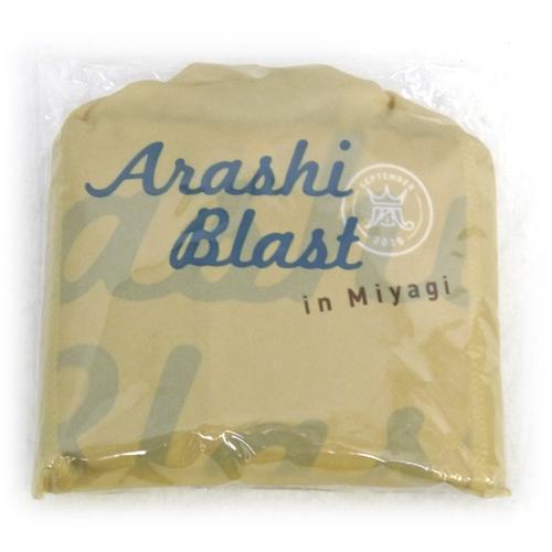 ★嵐/ARASHI BLAST in Miyagi/レインポンチョ◆新品Ss（ゆうパケット対応）
