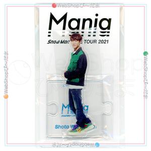 Snow Man Dome Tour 2025-2026 ON すのチルソフビ 宮舘涼太◇新品Ss