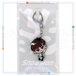 Snow Man 岩本照 1ST DOME tour 2023 I DO ME すのチル Snow Man 岩本照 1ST DOME tour 2023 I DO ME すのチル