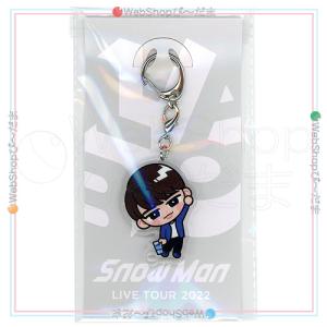 Snow Man - 【新品未開封】Snow Man 宮舘涼太 すのチル アクスタ チラ見カードセット 新品未開封】SnowMan Snow World 宮舘涼太 チラ見カ - メルカリ