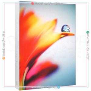 ☆sumika/Familia(初回限定盤)/CD◇B : WebShopびーだま - 通販