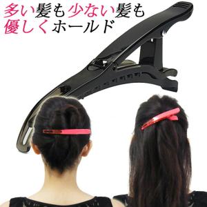 ダッカール しっかりロック ヘアクリップ Lサイ...の商品画像