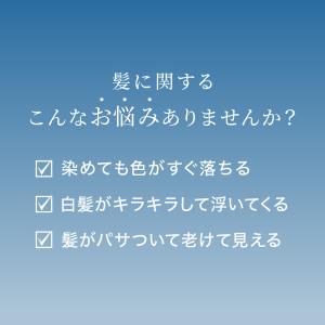 カラープロテクトシャンプー 色落ち防止 ルプル...の詳細画像5