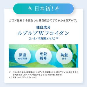 白髪染めトリートメント ヘアカラー ノンジアミ...の詳細画像3