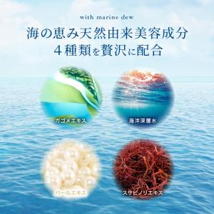 白髪染めトリートメント ヘアカラー ノンジアミ...の詳細画像4