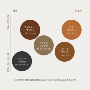 白髪染めトリートメント ヘアカラー ノンジアミ...の詳細画像4