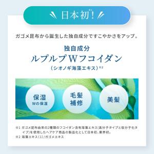 白髪染めトリートメント ヘアカラー ノンジアミ...の詳細画像5