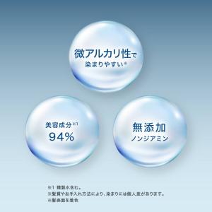 カラートリートメント 白髪染め ヘア ノンジア...の詳細画像2