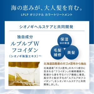 カラートリートメント 白髪染め ヘア ノンジア...の詳細画像5
