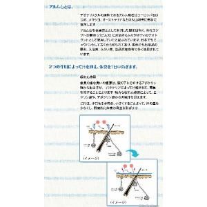 デオクリスタル ヴェルダン ディスクタイプ 1...の詳細画像1
